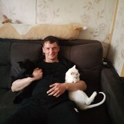 ���������� �����������, ���� ������� ���������, 37 ���, ������������ ��� ������, ����� � ���������