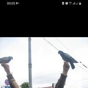  ,   , 47 ,   ,   