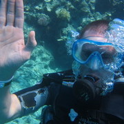  -,   , 40 ,   ,   , c 