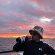 ���������� �����������, ���� ������� �����, 29 ���, ������������ ��� ������, ����� � ���������