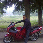  ,   Kola, 40 ,     , c 