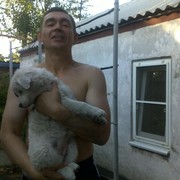  ,   , 53 ,   