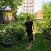  ,   , 49 ,   ,   