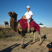 ���������� ���������, ���� ������� �������, 50 ���, ������������ ��� ������