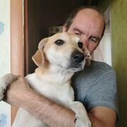  ,  Arthur, 55