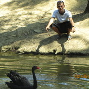 ���������� ���������� �����, ���� ������� �������, 44 ����, ������������ ��� ������, ����� � ���������, c�������� ���������