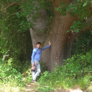  Korfez,  Bayram, 35