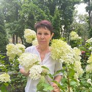 ,   , 61 ,   ,   