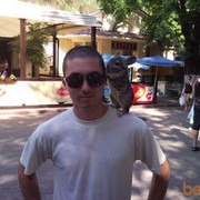 ���������� ���������, ���� ������� ����, 38 ���, ������������ ��� ������