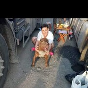 ���������� ��������������, ���� ������� �����, 44 ����, ������������ ��� ������, ����� � ���������, c�������� ���������