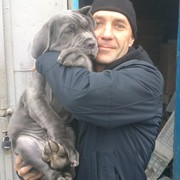 ���������� ������, ���� ������� ������, 45 ���, ������������ ��� ������, ����� � ���������, c�������� ���������