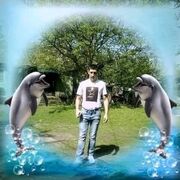 ���������� ������, ���� ������� ������, 38 ���, ������������ ��� ������, ����� � ���������