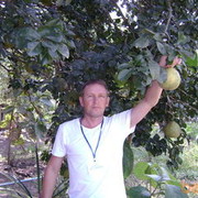  ,   , 61 ,   