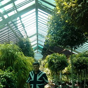  ,   , 52 ,   ,   , c 