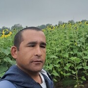 ���������� ������, ���� ������� ����, 36 ���, ������������ ��� c�������� ���������