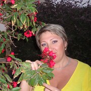  ,   , 50 ,  