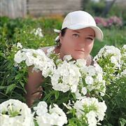  -,   , 38 ,   ,   , c 