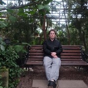 ���������� ������, ���� ������� ���������, 38 ���, ������������ ��� c�������� ���������, ���������