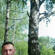  -,   , 41 ,  