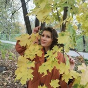 ���������� ������, ���� ������� ��������, 41 ���, ������������ ��� ������, ����� � ���������