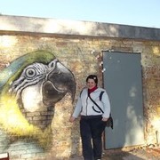 ���������� ������-��-����, ���� ������� �����, 41 ���, ������������ ��� ������, ����� � ���������, c�������� ���������