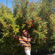  ,   , 60 ,     , c 