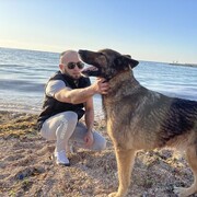  ,   , 33 ,   ,   , c , 