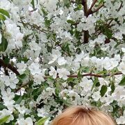  ,   , 63 ,   ,   , c 