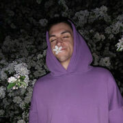 ���������� �����-���������, ���� ����� Igor, 24 ����, ������������ ��� ������, ����� � ���������