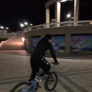 ���������� ������ ��������, ���� ������� �����, 29 ���, ������������ ��� ���������