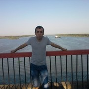 ���������� ������, ���� ������� ���94375231, 39 ���, ������������ ��� ������, ����� � ���������, c�������� ���������