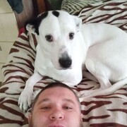 ���������� ������������, ���� ������� ����������, 37 ���, ������������ ��� ������, ����� � ���������, ���������