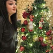 ���������� ����������, ���� ������� �����, 45 ���, ������������ ��� c�������� ���������