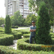 ���������� ��������, ���� ������� ������646, 46 ���, ������������ ��� ������