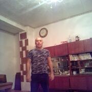 ���������� ����, ���� ������� Roman, 49 ���, ������������ ��� ������, ����� � ���������, c�������� ���������