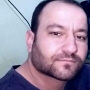  ,   Shams, 36 ,   ,   , 