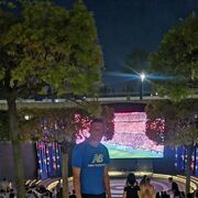 ���������� ���������, ���� ������� ������, 38 ���, ������������ ��� ������, ����� � ���������, c�������� ���������, ���������