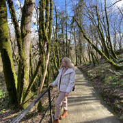 ���������� ������, ���� ������� �����, 31 ���, ������������ ��� ���������