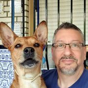 ���������� �������, ������� ������, 48