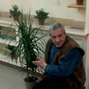 ���������� ������, ���� ������� ����, 56 ���, ������������ ��� ������, ����� � ���������, c�������� ���������, ���������