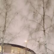 ���������� ������, ���� ������� Ardasher, 32 ����, ������������ ��� ������, ����� � ���������