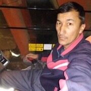 ���������� ����, ���� ������� ����, 43 ����, ������������ ��� ���������