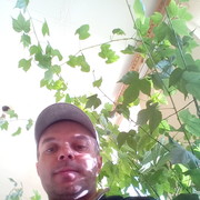  ,   Miwka, 41 ,   