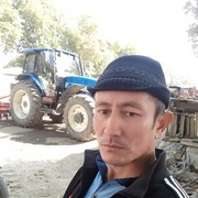  ,   , 44 ,  