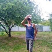  ,   , 43 ,   ,   