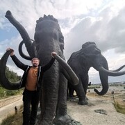 ���������� ������������, ���� ������� ������, 46 ���, ������������ ��� ������, ����� � ���������, c�������� ���������