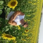  ,   , 43 ,   