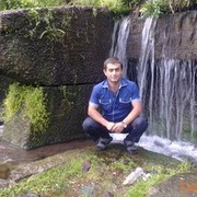  ,   NVER, 41 ,   
