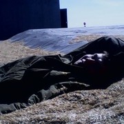 ���������� �����������, ���� ������� ����, 31 ���, ������������ ��� ������, ����� � ���������, c�������� ���������, ���������