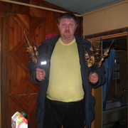  ,   , 49 ,     , c 
